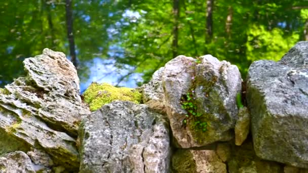 Wall Made Seemingly Shaped Large Stones Middle Park Moss Stones — Stock Video