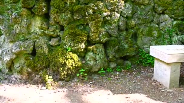 石の上に苔で覆われた公園の真ん中に見える形と大きな石で作られた壁 — ストック動画