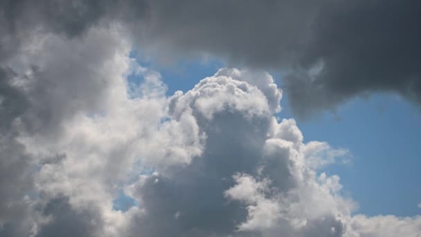 Nubes Colores Claros Oscuros Caminan Más Allá Del Cielo Azul — Vídeo de stock