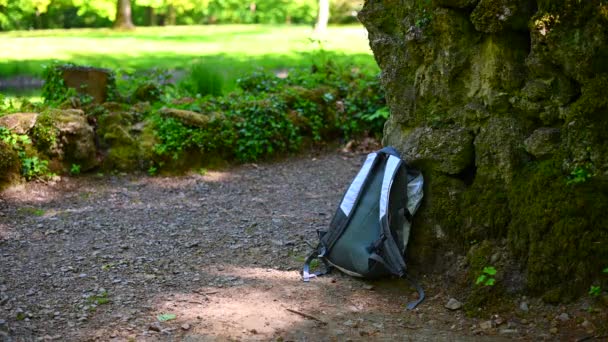 Eine Tasche Liegt Einer Alten Steinmauer Und Wird Vorsichtig Und — Stockvideo