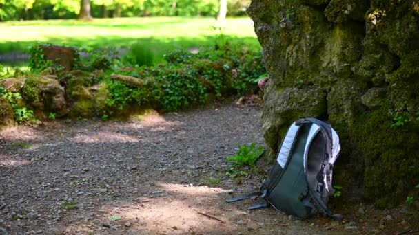 Eine Tasche Liegt Einer Alten Steinmauer Und Wird Vorsichtig Und — Stockvideo