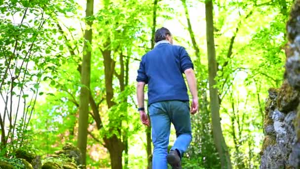 Seorang Pria Berjalan Menaiki Tangga Batu Taman Hijau Dan Turun — Stok Video