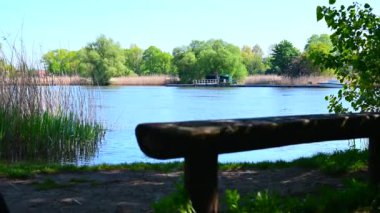 Bir nehir kıyısında, gölgede. Parlak gün ışığında.