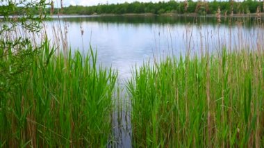 Kuzey Almanya 'da bulutlu gökyüzü ve sakin su ile kıyıdan taş ocağı göleti manzarası