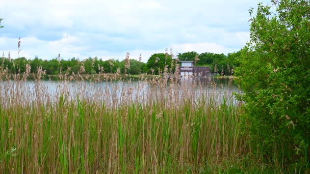 Bremen Germany 2020 Una Estación Dlrg Encuentra Lago Cantera — Vídeos de Stock