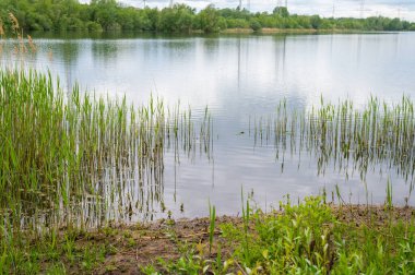 Kuzey Almanya 'da bulutlu gökyüzü ve sakin su ile kıyıdan taş ocağı göleti manzarası