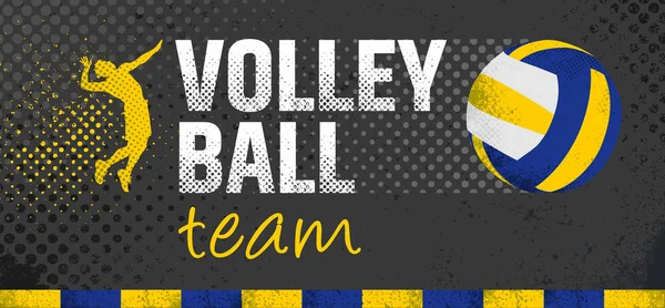 Pallavolo vettoriale Grunge — Vettoriale Stock