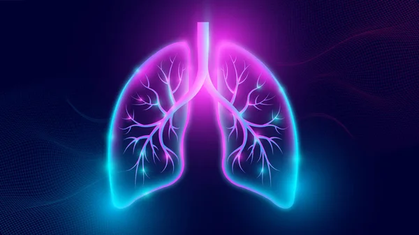 Ludzki Układ Oddechowy Płuca Anatomia — Zdjęcie stockowe