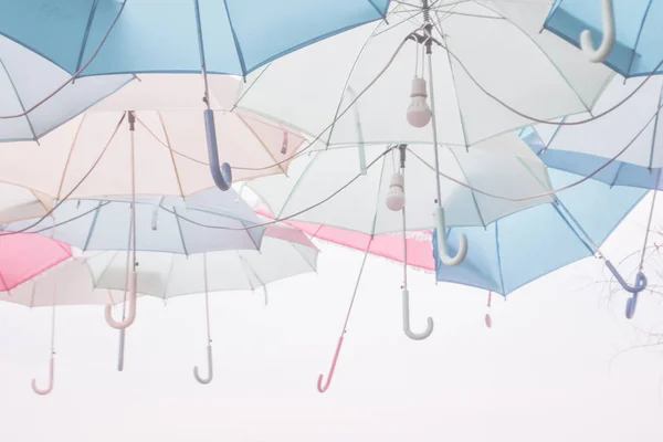 Зонтичная пастель — стоковое фото
