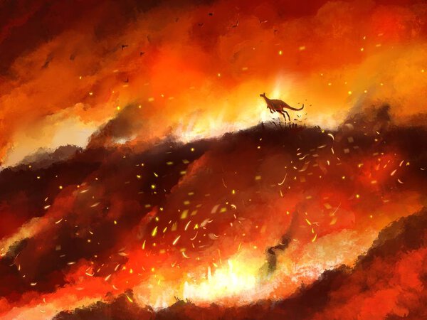 Illustration kangaroo run away from wildfire part of global warming