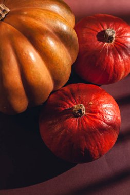 Balkabağı resmi yakın plan, çeşitli balkabakları. Kahverengi arka planda büyük ve küçük boyutlarda balkabakları ve farklı renkler..