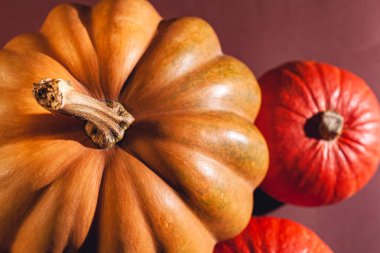 Balkabağı resmi yakın plan, çeşitli balkabakları. Kahverengi arka planda büyük ve küçük boyutlarda balkabakları ve farklı renkler..