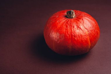 Kahverengi arkaplanlı bir balkabağı resmi ve mesaj için bir yer. Değişken mevsimlik balkabakları.