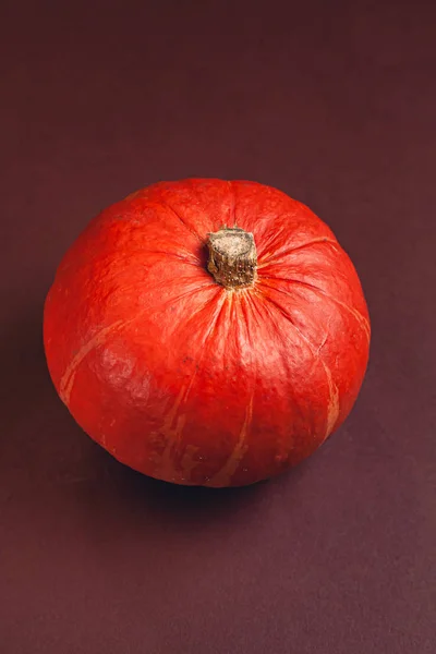 Foto Reserva Calabaza Sobre Fondo Castaño Oscuro Con Lugar Para — Foto de Stock