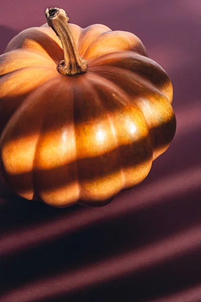 Foto Reserva Calabaza Sobre Fondo Castaño Oscuro Con Lugar Para — Foto de Stock