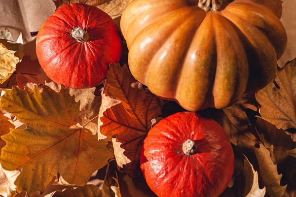 Composición Otoñal Calabazas Hojas Amarillas Foto Calabazas Hojas Secas — Foto de Stock