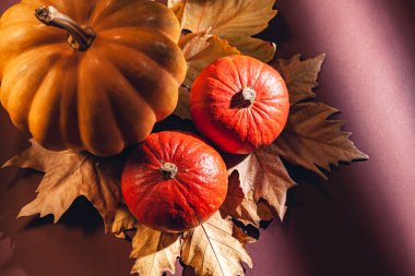 Balkabağı ve sarı yaprakların sonbahar kompozisyonu. Kuru yaprakların üzerinde balkabağı resmi..