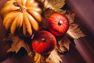 Balkabağı ve sarı yaprakların sonbahar kompozisyonu. Kuru yaprakların üzerinde balkabağı resmi..