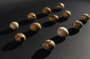 Siyah arka planda bıldırcın yumurtası. Stok fotoğrafı.