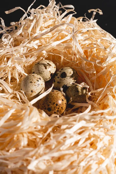 Nest Group Quail Eggs Close Stock Photo Nest Bird Eggs — Stock Photo, Image