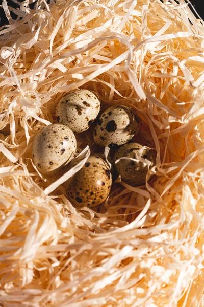 Гнездо Группой Перепелиных Яиц Крупным Планом Фотография Гнезда Птичьими Яйцами — стоковое фото
