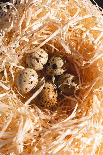 Nest Mit Einer Gruppe Wachteleier Aus Nächster Nähe Archivbild Eines — Stockfoto