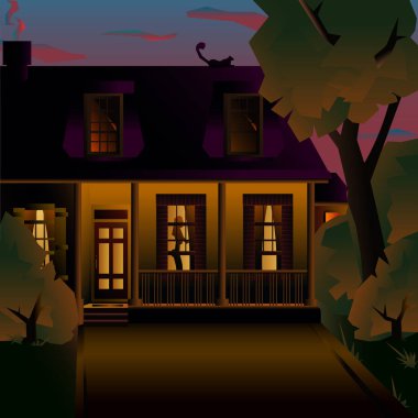 Verandalı, gece konforlu iki katlı bir ev. Bir Amerikan evinin vektör sanatı çizimi.