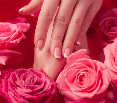 Spa Salonu: Pembe Güller ve Gül Yapraklı Su Kasesinde Fransız Manikürlü Güzel Kadın Elleri.