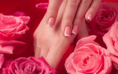 Spa Salonu: Pembe Güller ve Gül Yapraklı Su Kasesinde Fransız Manikürlü Güzel Kadın Elleri.