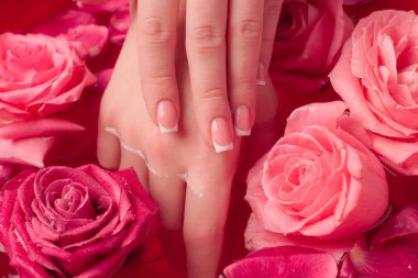 Spa Salonu: Pembe Güller ve Gül Yapraklı Su Kasesinde Fransız Manikürlü Güzel Kadın Elleri.