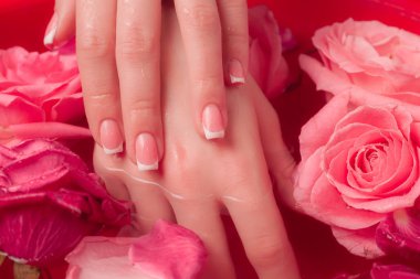 Spa Salonu: Pembe Güller ve Gül Yapraklı Su Kasesinde Fransız Manikürlü Güzel Kadın Elleri.