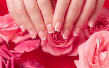 Spa Salonu: Pembe Güller ve Gül Yapraklı Su Kasesinde Fransız Manikürlü Güzel Kadın Elleri.