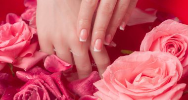 Spa Salonu: Pembe Güller ve Gül Yapraklı Su Kasesinde Fransız Manikürlü Güzel Kadın Elleri.