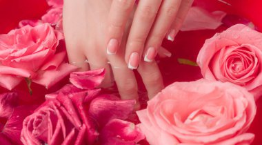 Spa Salonu: Pembe Güller ve Gül Yapraklı Su Kasesinde Fransız Manikürlü Güzel Kadın Elleri.