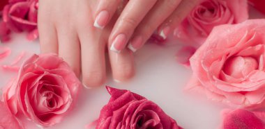 Spa Salonu: Pembe Güller ve Gül Yapraklı Su Kasesinde Fransız Manikürlü Güzel Kadın Elleri.