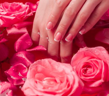 Spa Salonu: Pembe Güller ve Gül Yapraklı Su Kasesinde Fransız Manikürlü Güzel Kadın Elleri.