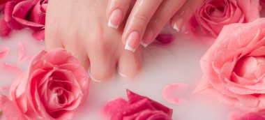 Spa Salonu: Pembe Güller ve Gül Yapraklı Su Kasesinde Fransız Manikürlü Güzel Kadın Elleri.