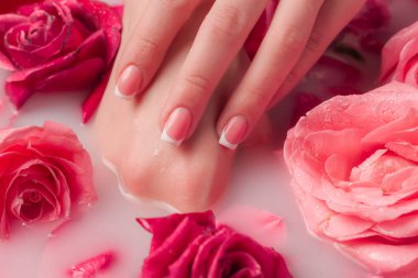 Spa Salonu: Pembe Güller ve Gül Yapraklı Su Kasesinde Fransız Manikürlü Güzel Kadın Elleri.