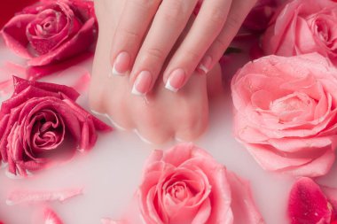 Spa Salonu: Pembe Güller ve Gül Yapraklı Su Kasesinde Fransız Manikürlü Güzel Kadın Elleri.