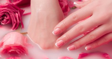 Spa Salonu: Pembe Güller ve Gül Yapraklı Su Kasesinde Fransız Manikürlü Güzel Kadın Elleri.