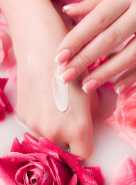 Spa Salonu: Pembe Güller ve Gül Yapraklı Su Kasesinde Fransız Manikürlü Güzel Kadın Elleri.