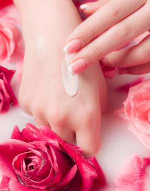 Spa Salonu: Pembe Güller ve Gül Yapraklı Su Kasesinde Fransız Manikürlü Güzel Kadın Elleri.