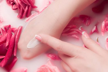 Spa Salonu: Pembe Güller ve Gül Yapraklı Su Kasesinde Fransız Manikürlü Güzel Kadın Elleri.