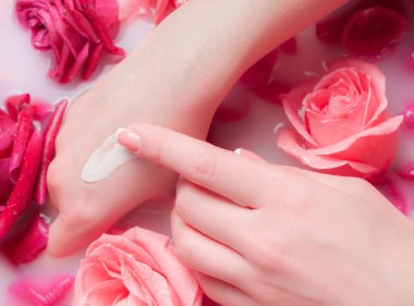 Spa Salonu: Pembe Güller ve Gül Yapraklı Su Kasesinde Fransız Manikürlü Güzel Kadın Elleri.