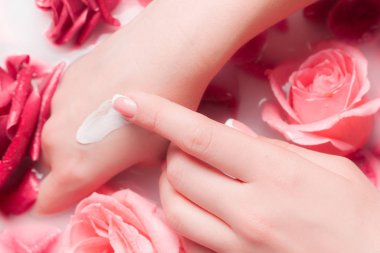 Spa Salonu: Pembe Güller ve Gül Yapraklı Su Kasesinde Fransız Manikürlü Güzel Kadın Elleri.