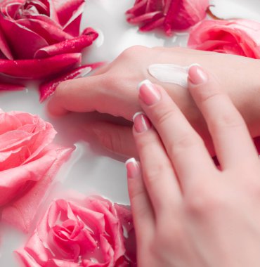 Spa Salonu: Pembe Güller ve Gül Yapraklı Su Kasesinde Fransız Manikürlü Güzel Kadın Elleri.