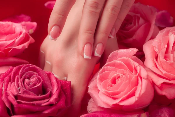 Spa Salonu: Pembe Güller ve Gül Yapraklı Su Kasesinde Fransız Manikürlü Güzel Kadın Elleri.