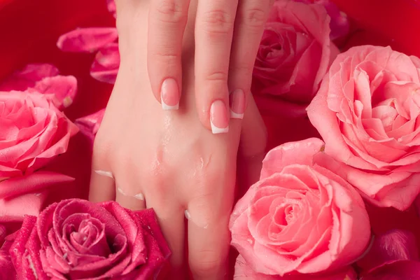 Spa Salonu: Pembe Güller ve Gül Yapraklı Su Kasesinde Fransız Manikürlü Güzel Kadın Elleri.