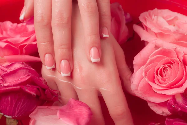 Spa Salonu: Pembe Güller ve Gül Yapraklı Su Kasesinde Fransız Manikürlü Güzel Kadın Elleri.