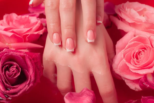 Spa Salon Όμορφη Γυναικεία Χέρια Γαλλικό Μανικιούρ Στο Μπολ Του — Φωτογραφία Αρχείου